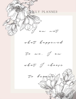 Capa do artigo Daily Planner