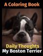 Daily Thoughts - Preview