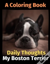 Capa do artigo Daily Thoughts