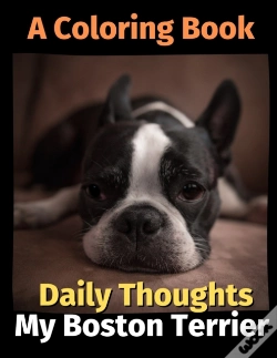 Capa do artigo Daily Thoughts