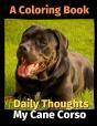 Daily Thoughts - Preview