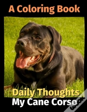 Capa do artigo Daily Thoughts