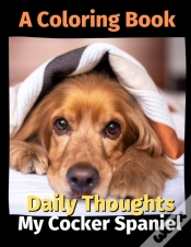 Capa do artigo Daily Thoughts