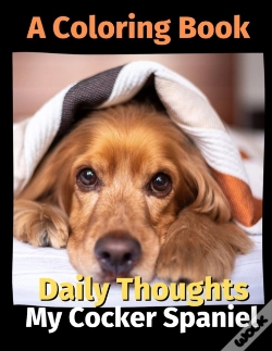 Capa do artigo Daily Thoughts