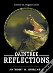 Capa do artigo Daintree Reflections