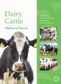 Dairy Cattle Welfare In Practice - Preview