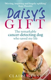 Capa do artigo Daisyâ€™S Gift