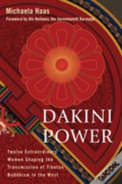Capa do artigo Dakini Power
