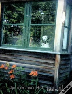 Capa do artigo Dalmatian Cabin Creative Blank Mega  Col