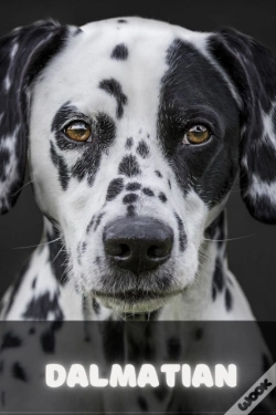 Capa do artigo Dalmatian