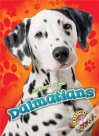Dalmatians
