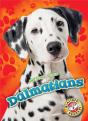Dalmatians - Preview
