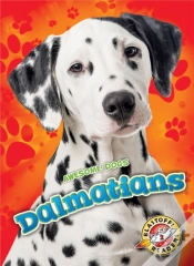 Capa do artigo Dalmatians