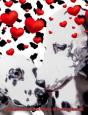 Dalmatians Valentine'S Mega  Blank  Page - Preview