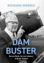 Capa do artigo Dam Buster