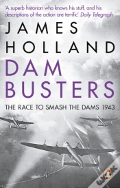 Capa do artigo Dam Busters