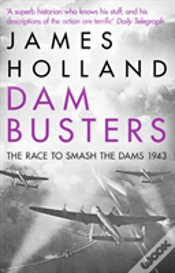 Capa do artigo Dam Busters