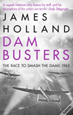 Capa do artigo Dam Busters
