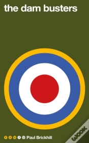 Capa do artigo Dam Busters