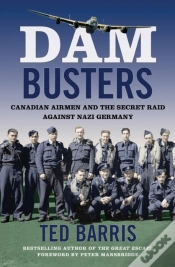 Capa do artigo Dam Busters