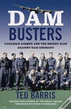 Capa do artigo Dam Busters