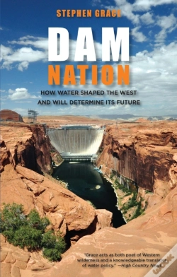 Capa do artigo Dam Nation