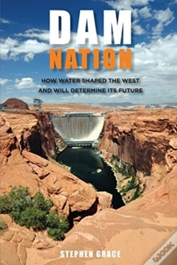Capa do artigo Dam Nation
