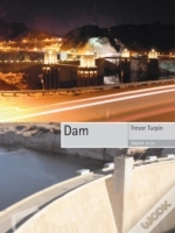 Capa do artigo Dam