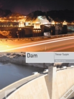 Capa do artigo Dam