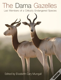Capa do artigo Dama Gazelles