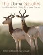 Dama Gazelles - Preview