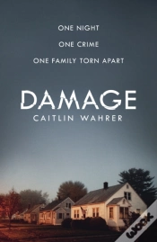 Capa do artigo Damage
