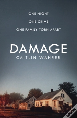Capa do artigo Damage