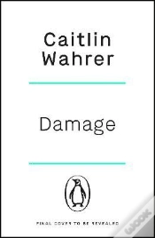 Capa do artigo Damage