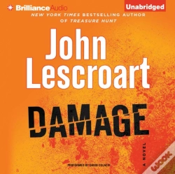 Capa do artigo Damage