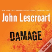 Capa do artigo Damage