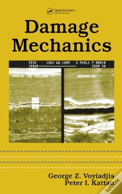 Capa do artigo Damage Mechanics