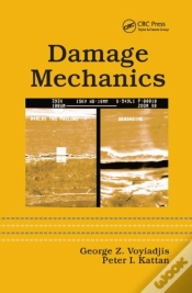 Capa do artigo Damage Mechanics
