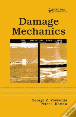 Capa do artigo Damage Mechanics