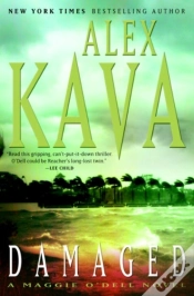 Capa do artigo Damaged
