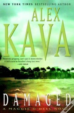 Capa do artigo Damaged
