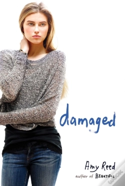 Capa do artigo Damaged