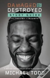 Capa do artigo Damaged But Not Destroyed Study Guide
