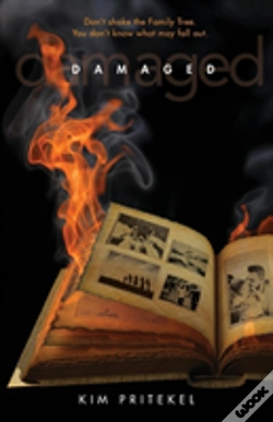 Capa do artigo Damaged