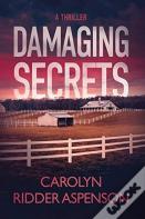 Damaging Secrets