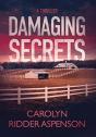 Damaging Secrets - Preview