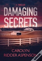 Capa do artigo Damaging Secrets