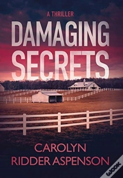 Capa do artigo Damaging Secrets