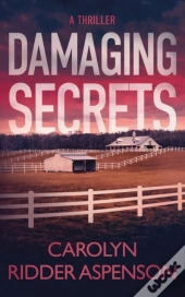 Damaging Secrets