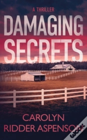 Capa do artigo Damaging Secrets